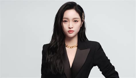 cina e versace|Versace Taps Wu Xuanyi as Its New China Ambassador .